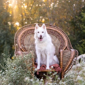 Fundraising Page: Summer Ketcham